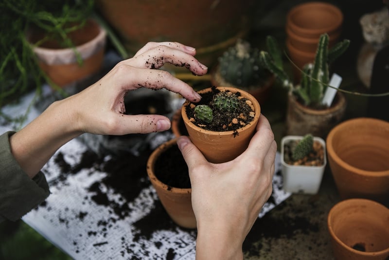 Garden Planting and Crafts
